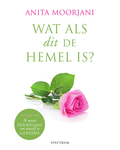 Wat als dit de hemel is?