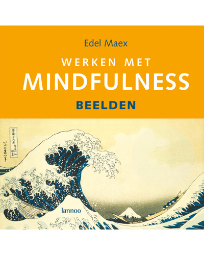 Werken met mindfulness + CD - beelden