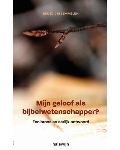 Mijn geloof als bijbelwetenschapper?