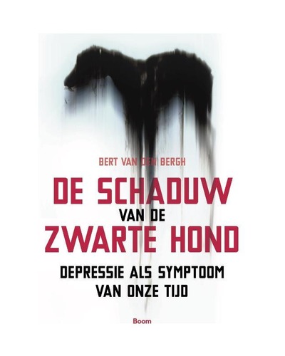 De schaduw van de zwarte hond