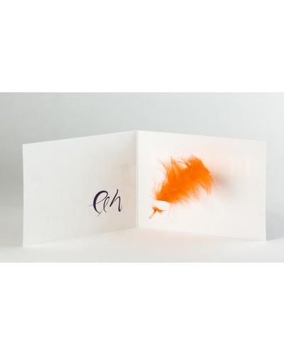 Kaart Symposion - Je verdient een pluim