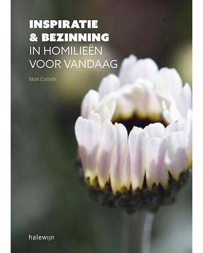 Inspiratie & bezinning in homilieën voor vandaag