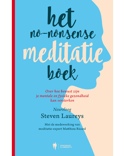 Het no-nonsense meditatie boek