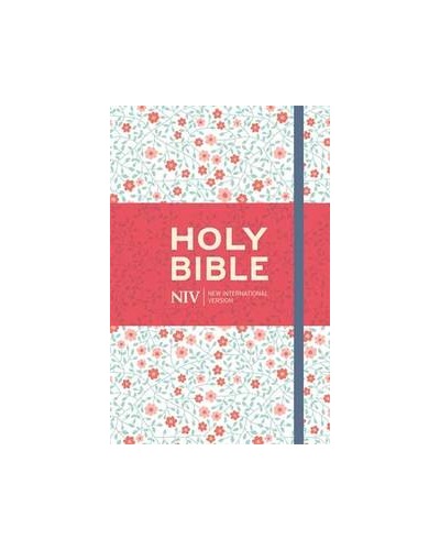 Holy bible - New international version