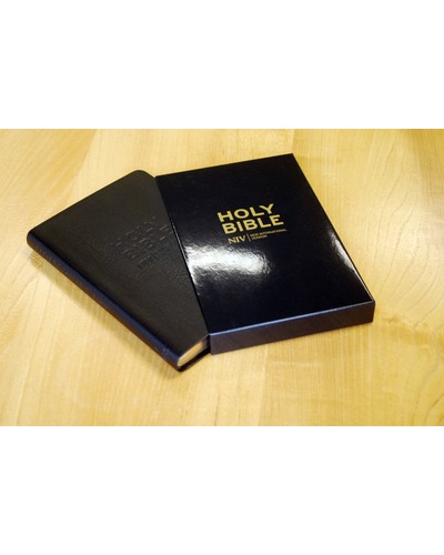 Holy bible - NIV zwart gouden rand karton etui