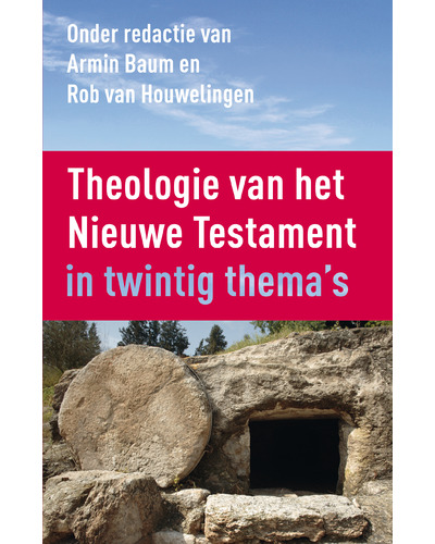 Theologie van het Nieuwe Testament in 20 thema's
