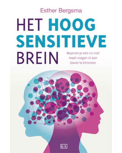 Het hoogsensitieve brein