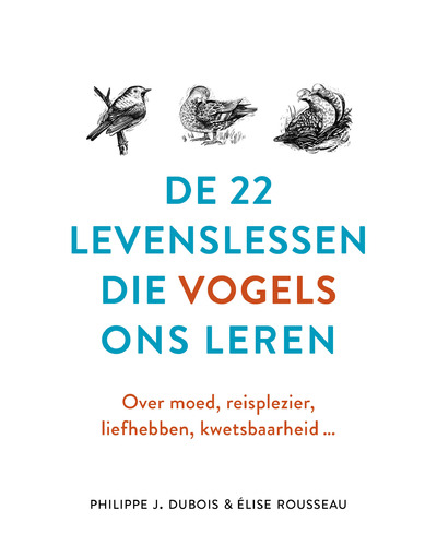 De 22 levenslessen die vogels ons leren