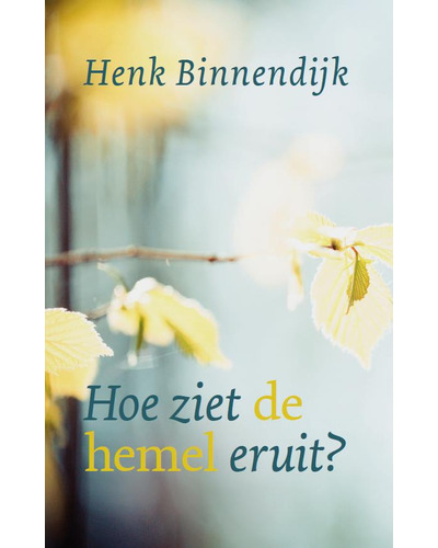 Hoe ziet de hemel eruit?