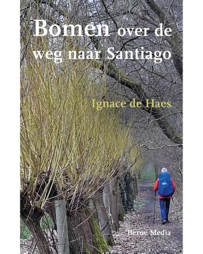 Bomen over de weg naar Santiago