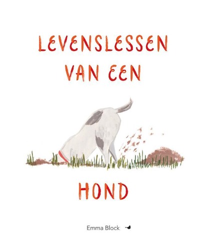 Levenslessen van een hond