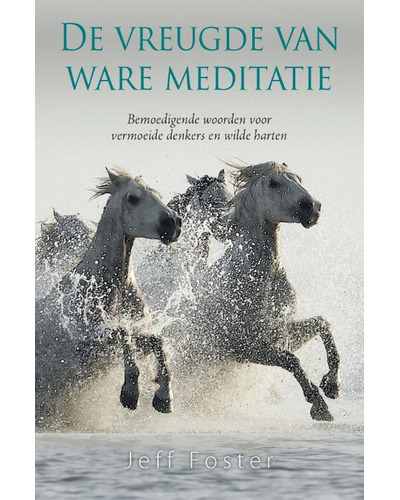 De vreugde van ware meditatie