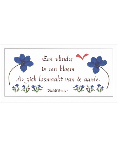 Kaart La Plume - CNL150 Een vlinder is een bloem