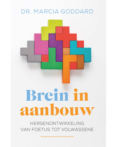 Brein in aanbouw