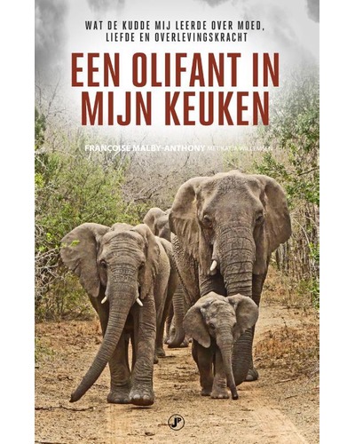 Een olifant in mijn keuken