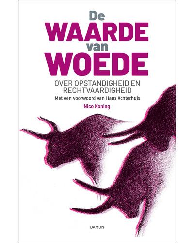 De waarde van woede