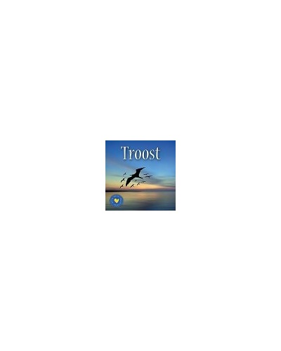 Troost - speciaal voor jou