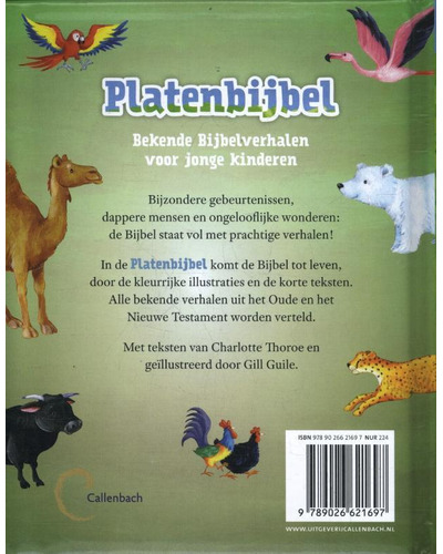 Platenbijbel