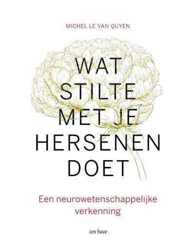 Wat stilte met je hersenen doet