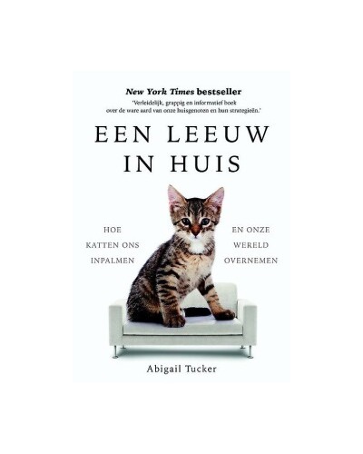 Een leeuw in huis