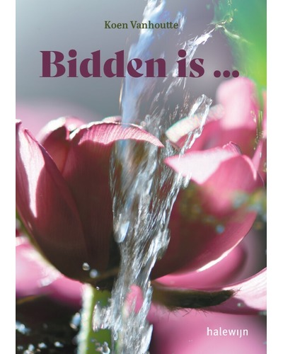 Bidden is ...