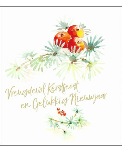 UM - DVN21/508 Vreugdevol Kerstfeest en G.N.