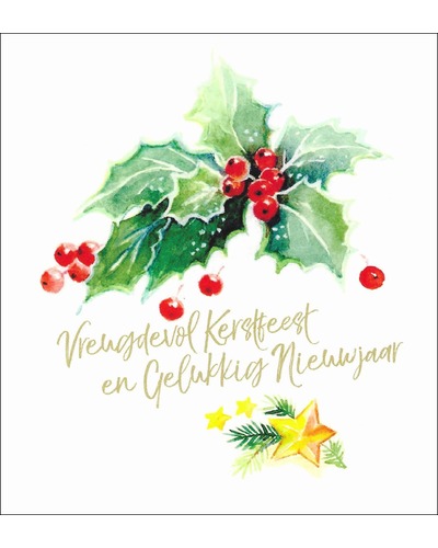 UM - DVN21/510 Vreugevol Kerstfeest en G.N.