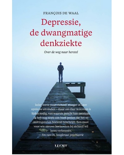 Depressie de dwangmatige denkziekte