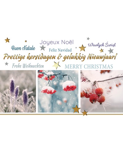 Kaart UM - DYN22/110 Kerst meertalig