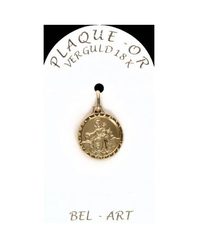 Bel-Art - Medaille scapulier verguld 14 mm