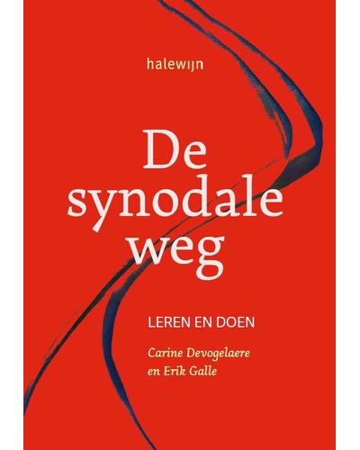 De synodale weg