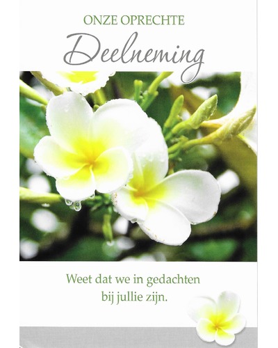 Kaart BL - Onze oprechte deelneming - witte bloem