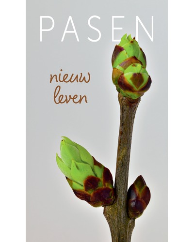Kaart UM - Pasen - P23 Antoon Vandeputte