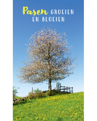 Kaart UM - Pasen - P23 Kathleen Boedt