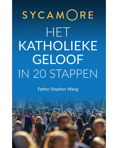 Het katholieke geloof in 20stappen