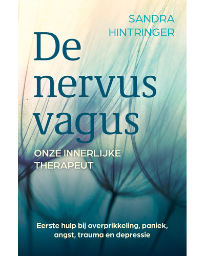 De nervus vagus, onze innerlijke therapeut