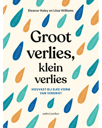 Groot verlies, klein verlies