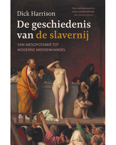 De geschiedenis van de slavernij