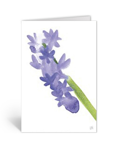 Card Décadence - LH3049 Hyacinth