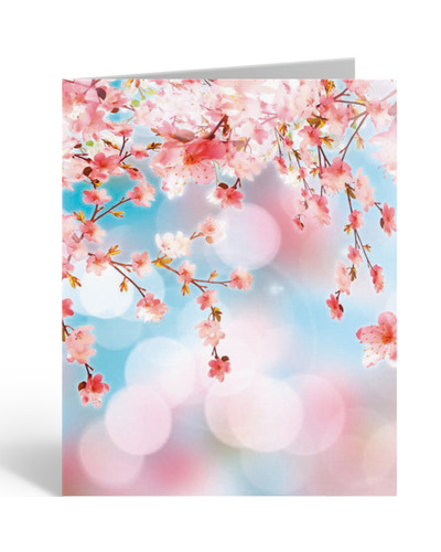Carte Décadence - Q17372 Cerisier en fleurs