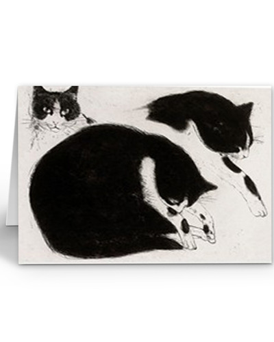 Card Décadence - REB843 Black and white cat