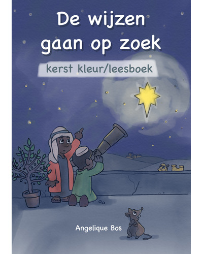 De wijzen gaan op zoek