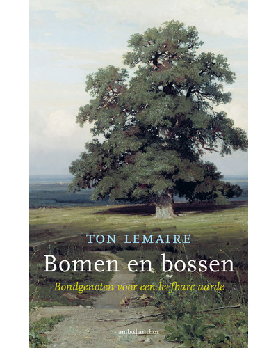 Bomen en bossen