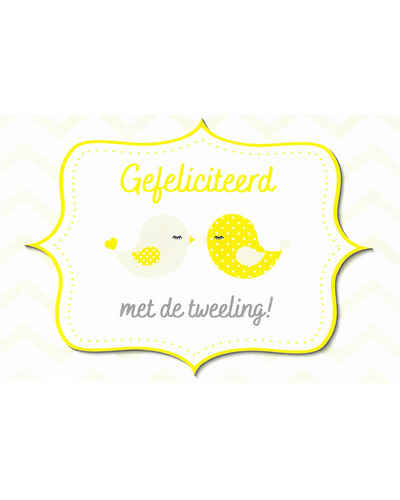 Kaart UM - DYW22/139 Gefelicteerd met de tweeling