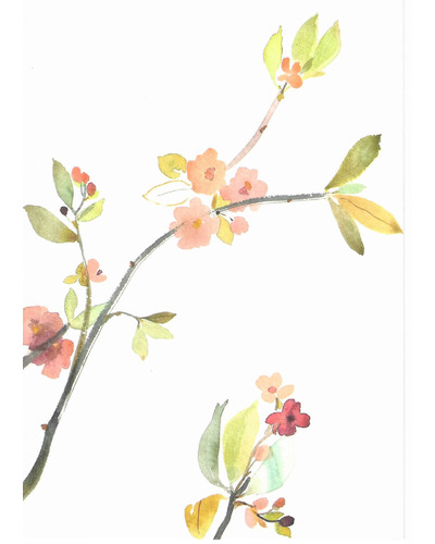 Card Décadence - SK2896 Bloom
