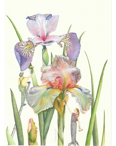 Kaart Décadence - FLO 03 Iris