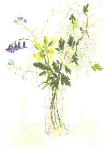 28410.jpg