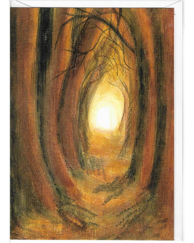 Kaart Beuron - 8227D Troostend licht