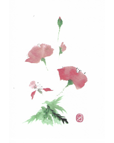 Carte La Plume - NG051 Coquelicot