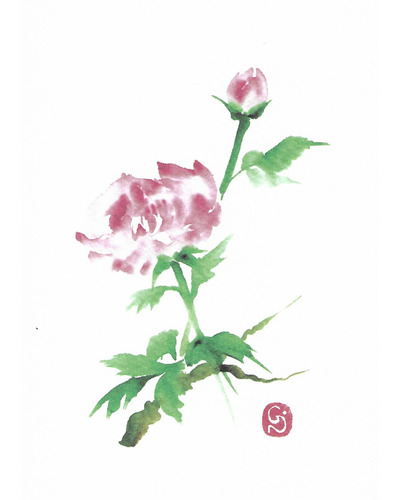 Kaart La Plume - NG043 Pivoine